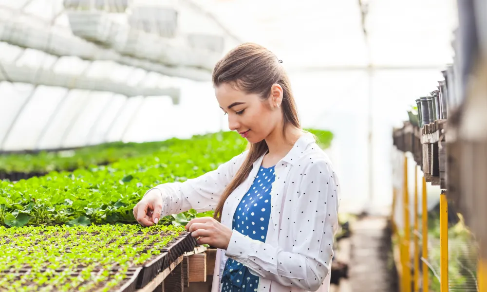 Young woman in greenhouse tending to plants