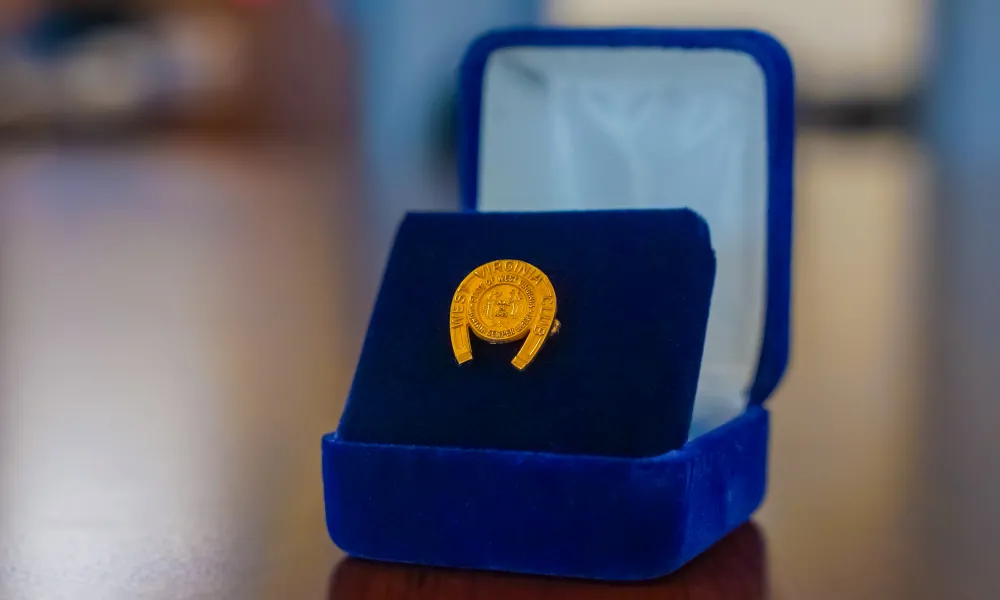 Pictured is a Golden Horseshoe pin inside a jewelry box.