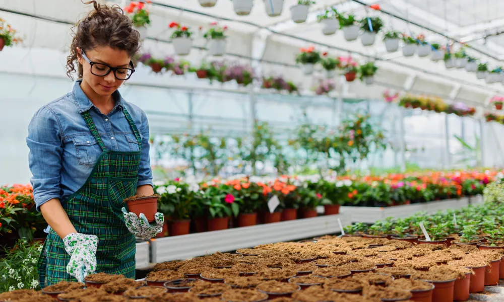 Person working in a greenhouse