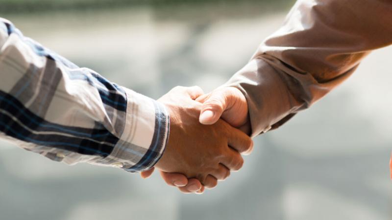 Two male hands embraced in a handshake.