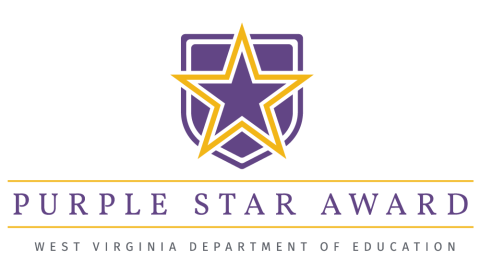 Purple Star Logo