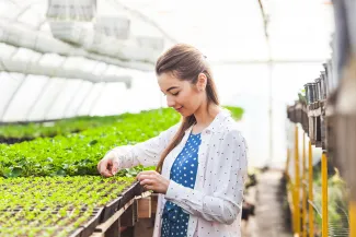 Young woman in greenhouse tending to plants