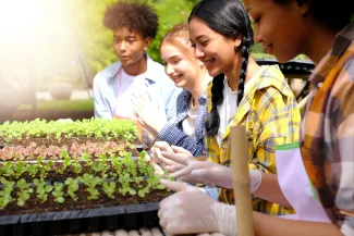 A group of teenage students growing seedlings.